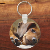 Porte-clés Chien mignon (Recto)