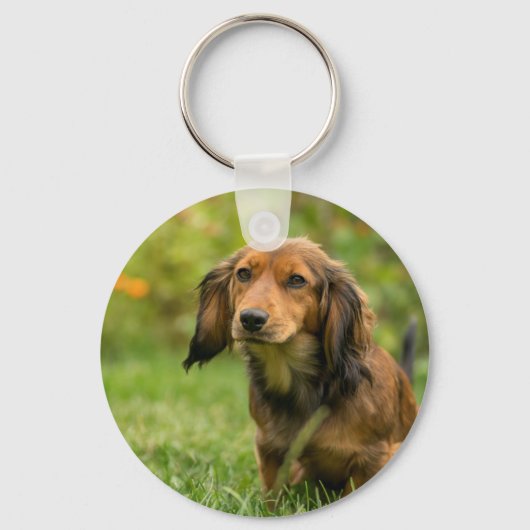 Porte-clés Chien mignon Dachshund (Recto)