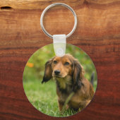 Porte-clés Chien mignon Dachshund (Recto)
