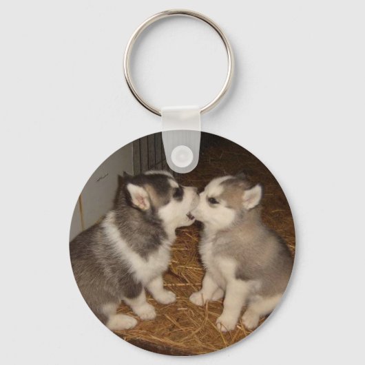 Porte-clés chien mordant chien bouche (Recto)