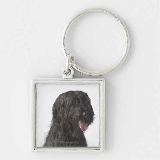 Porte-clés Chien noir, Briard (Devant)