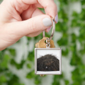Porte-clés Chien noir de Pekingese se couchant (main)