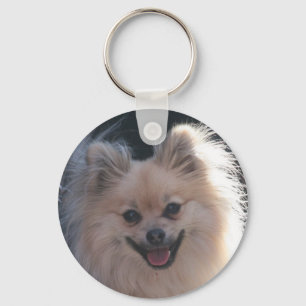 Porte-clés chien pomeranian pelucheux