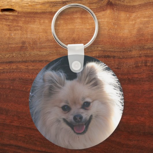 Porte-clés chien pomeranien moelleux (Recto)