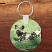 Porte-clés Chien sauvage africain (Recto)