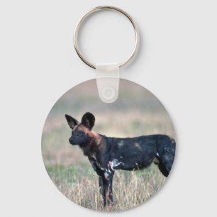 Porte-clés Chien sauvage africain