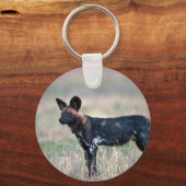Porte-clés Chien sauvage africain (Recto)
