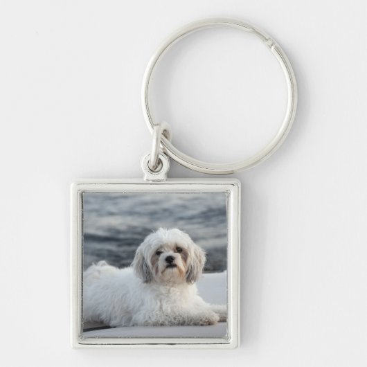 Porte-clés Chien s'étendant par l'eau (Devant)