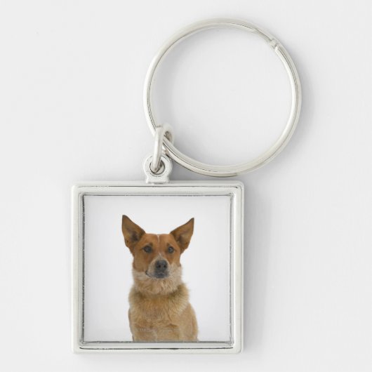 Porte-clés Chien sur le blanc 01 (Devant)