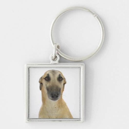 Porte-clés Chien sur le blanc 41 (Devant)