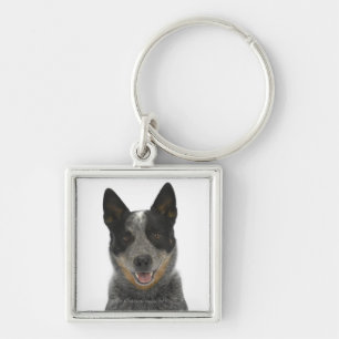 Porte-clés Chien sur le blanc 5
