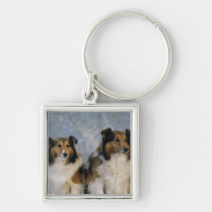 Porte-clés Chiens de berger de Shetland