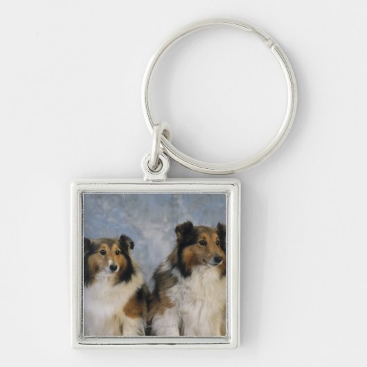 Porte-clés Chiens de berger de Shetland (Devant)
