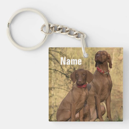 Porte-clés Chiens de la cage de Vizsla personnalisés (Devant)