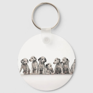 Porte-clés chiens pupy de chien de chiots de chiot de chiots