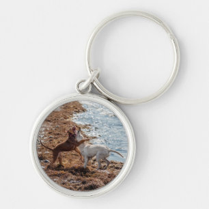 Porte-clés Chiens sur la plage