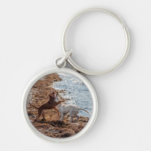 Porte-clés Chiens sur la plage (Devant)