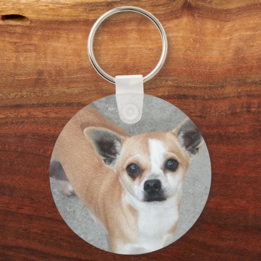 PORTE-CLÉS CHIHUAHUA (Recto)