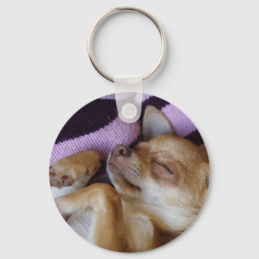 Porte-clés Chihuahua endormi (Recto)
