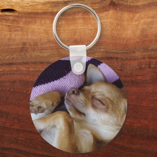 Porte-clés Chihuahua endormi (Recto)