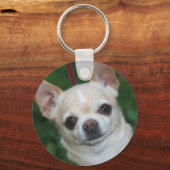 Porte-clés chihuahuas (Recto)