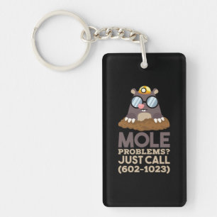 Porte-clés Chimie - Problèmes de mole