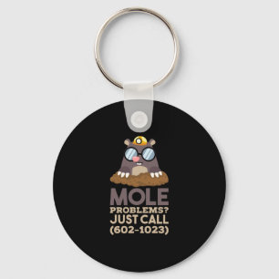 Porte-clés Chimie - Problèmes de mole