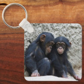 Porte-clés Chimpanzé 002 (Recto)