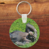 Porte-clés Chimpanzé relaxant dans l'herbe - Porte - clé (Recto)