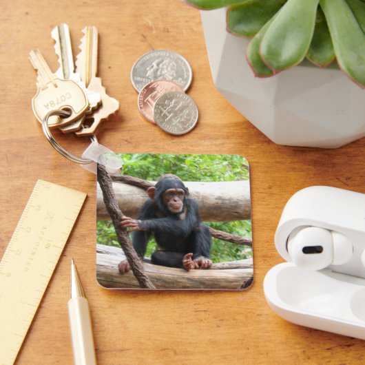 Porte-clés Chimpanzée 001 (Bureau)