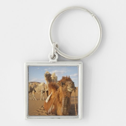 Porte-clés Chine, Mongolie intérieure, désert de Badain Jaran (Devant)