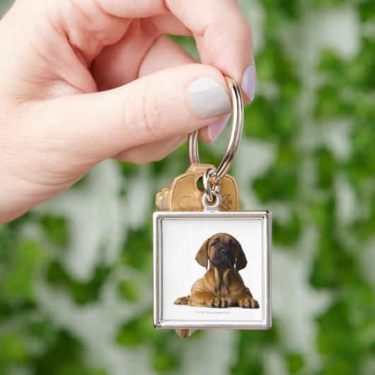 Porte-clés Chiot (main)