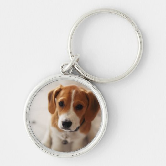 Porte-clés Chiot 2 de beagle (Devant)