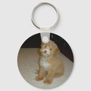 Porte-clés Chiot adorable de Schnoodle