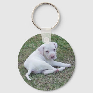 Porte-clés Chiot américain