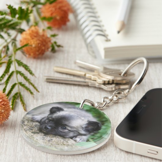 Porte-clés Chiot aux cheveux longs de chiwawa (Devant droit)