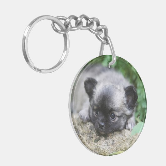 Porte-clés Chiot aux cheveux longs de chiwawa (Devant gauche)