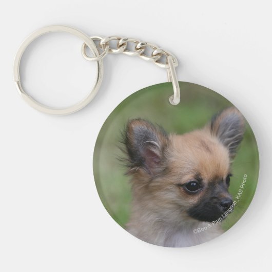 Porte-clés Chiot aux cheveux longs de chiwawa regardant (Devant)