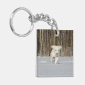 Porte-clés Chiot blanc Golden Retriever en neige (Devant gauche)