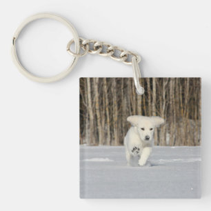 Porte-clés Chiot blanc Golden Retriever en neige