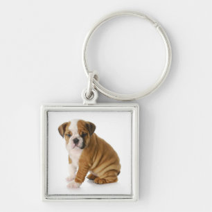Porte-clés chiot Bouledogue anglais mignon