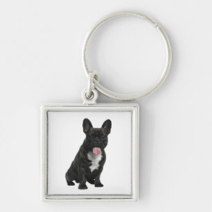 Porte-clés chiot bouledogue français mignon