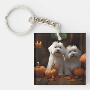 Porte-clés Chiot Coton De Tulear Délice d'Automne Citrouille