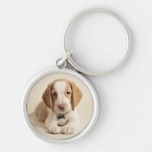 Porte-clés Chiot de beagle (Devant)
