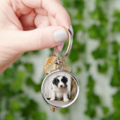 Porte-clés Chiot de border collie (main)
