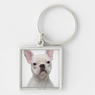 Porte-clés Chiot de bouledogue français (5 mois)