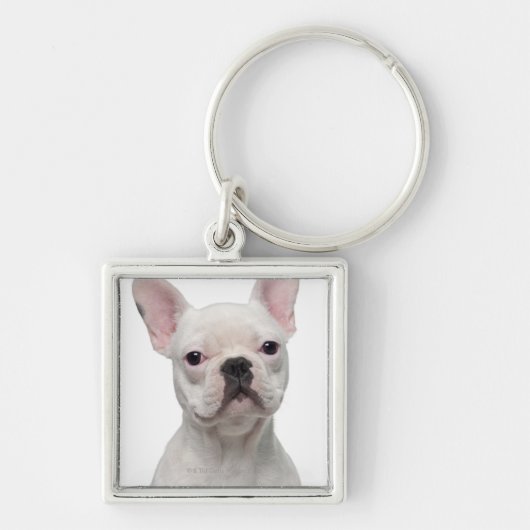 Porte-clés Chiot de bouledogue français (5 mois) (Devant)