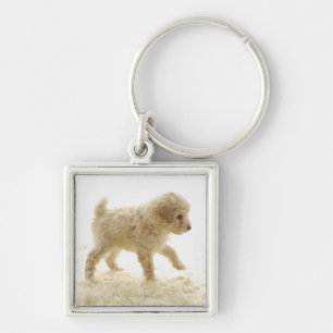 Porte-clés Chiot de caniche