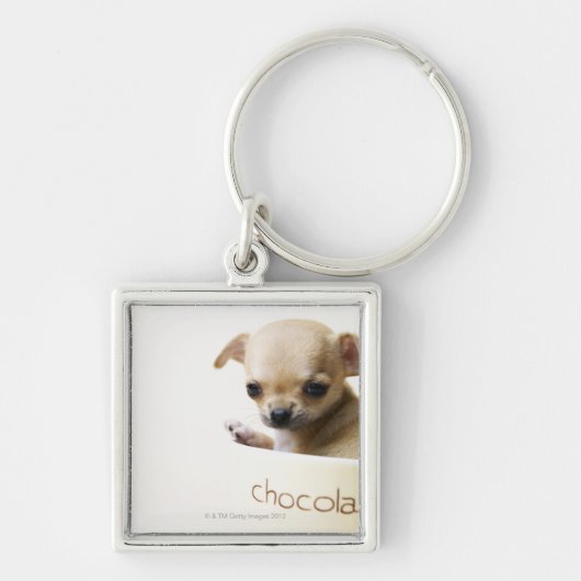 Porte-clés Chiot de chiwawa dans la cuvette (cultivée) (Devant)