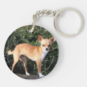 Porte-clés Chiot de chiwawa de tasse de thé (Dos)